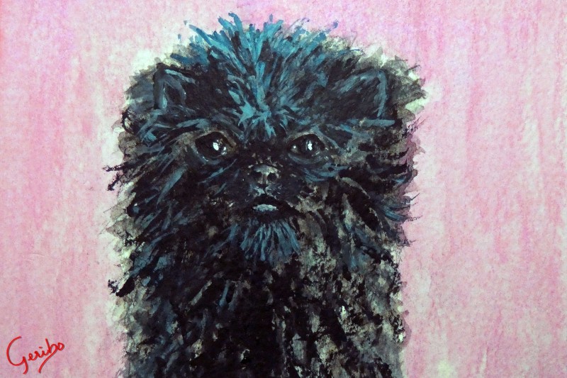 affenpinscher-print-web.jpg