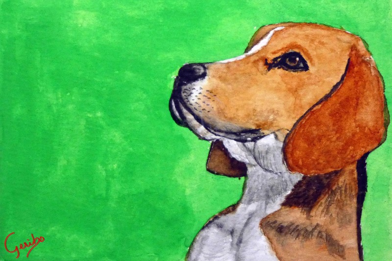 beagle-print-web.jpg