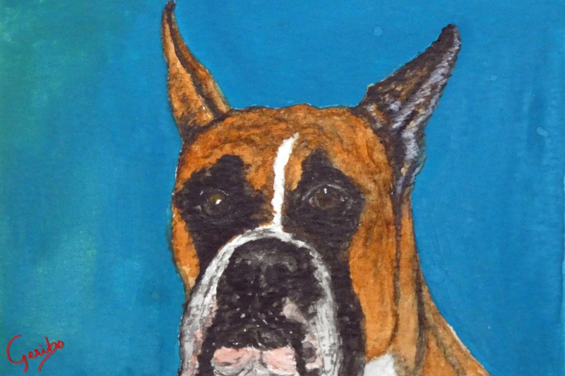 boxer-print-web.jpg