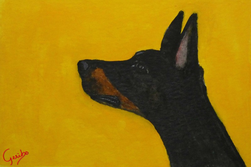 doberman-pinscher-print-web.jpg