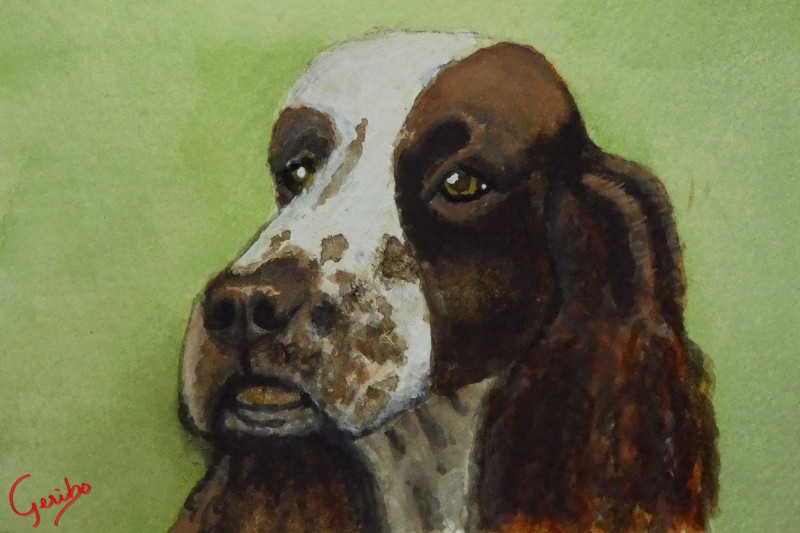 english-springer-spaniel-print-web.jpg