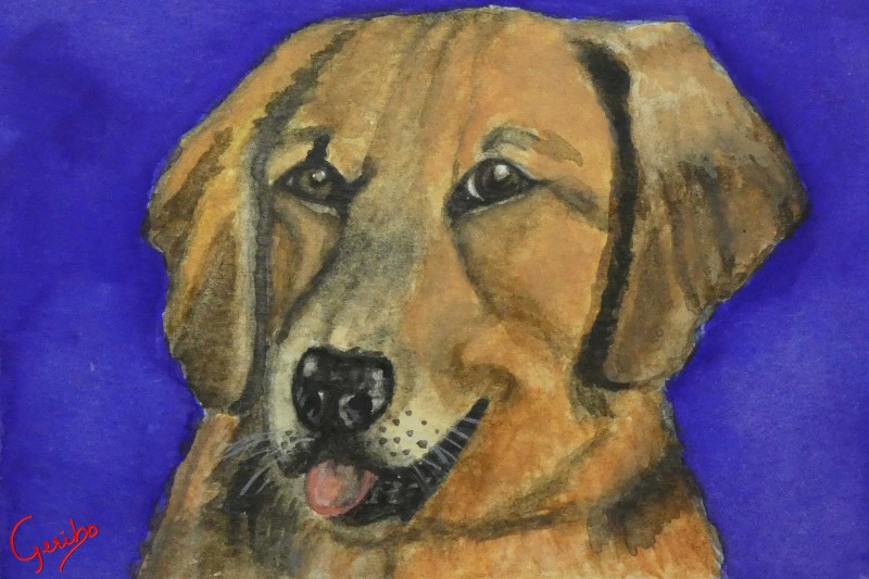 golden-retriever-print-web.jpg