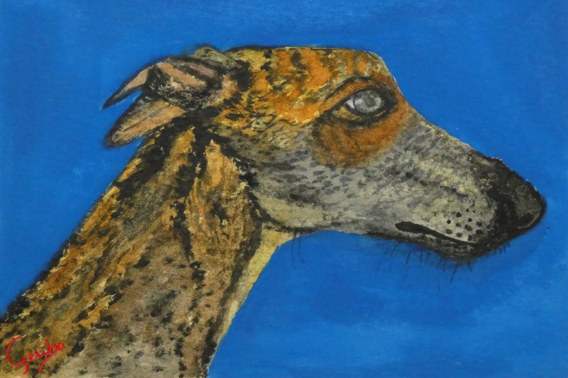 greyhound-print-web.jpg