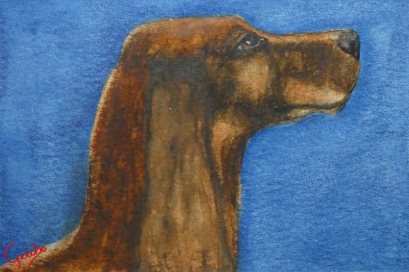 irish-setter-print-web.jpg