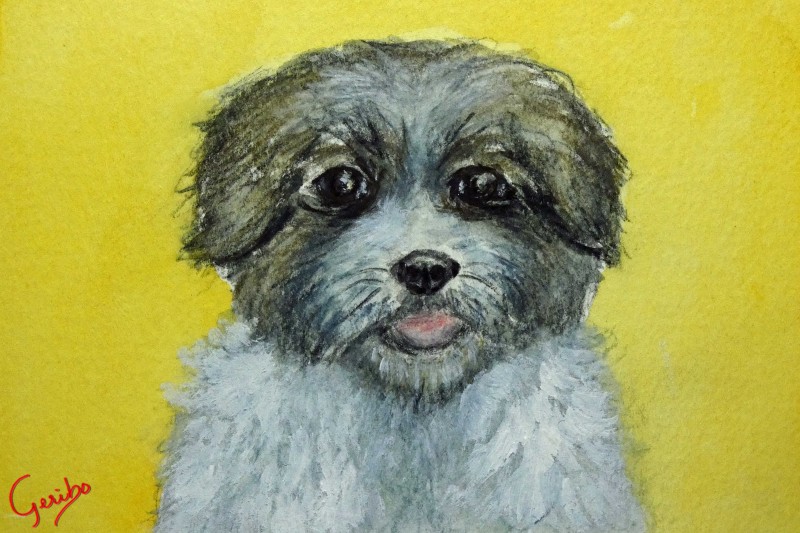 lhasa-apso-print-web.jpg
