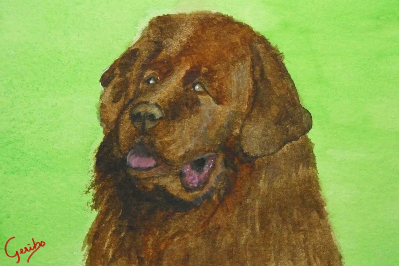 newfoundland-print-web.jpg