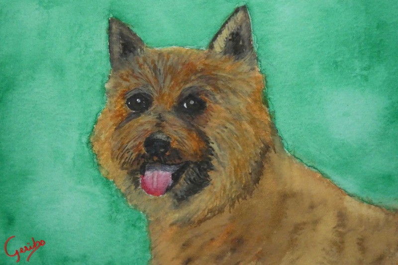 norwich-terrier-print-web.jpg