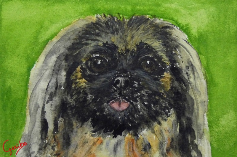 pekingnese-print-web.jpg