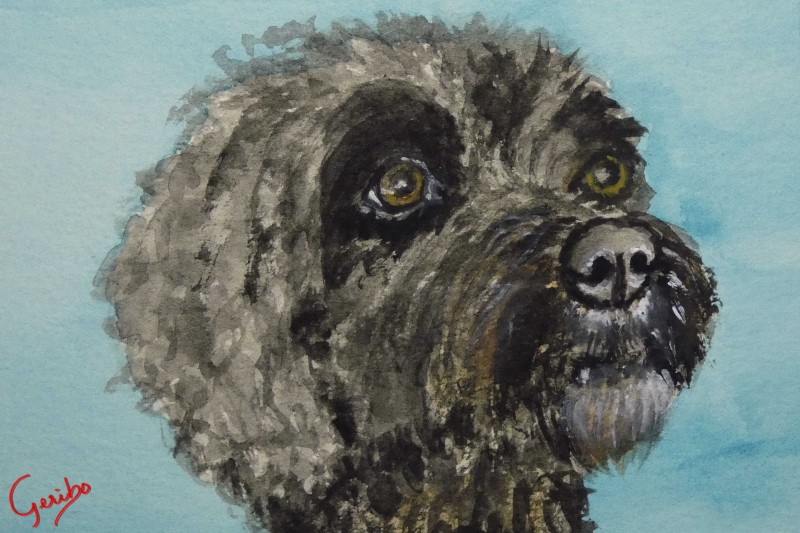 portuguese-waterdog-print-web.jpg