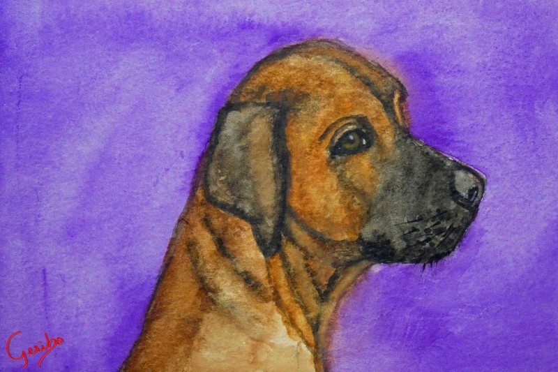 rhodesian-ridgeback-print-web.jpg