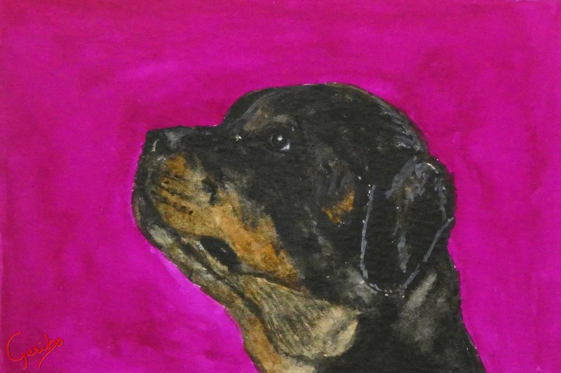 rottweiler-print-web.jpg